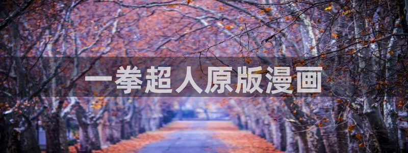 免费看日51漫画画软件