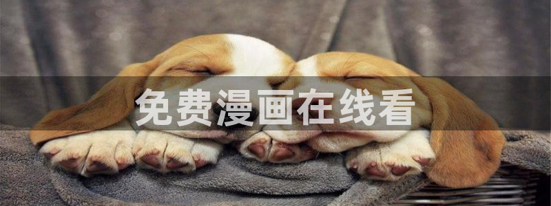 51漫画入口网页