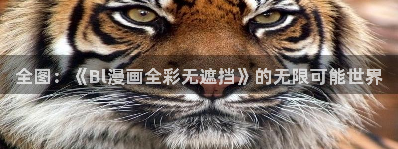 51漫画在线资源