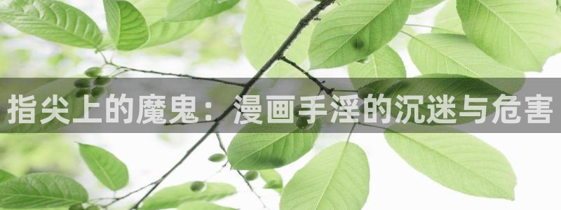 黄51漫画免费观看