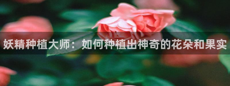 51漫画画免费阅读在线观看：妖精种植大师：如何种植出神奇的花朵和果实