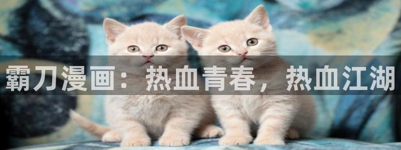 51漫画大全在线看免费